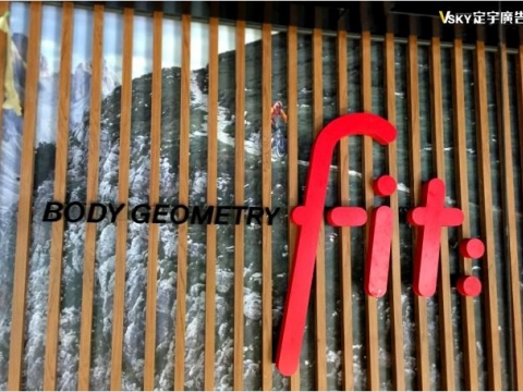 Body Geometry